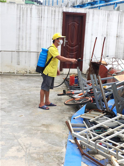 斗門區(qū)學校滅臭蟲技術口碑推薦