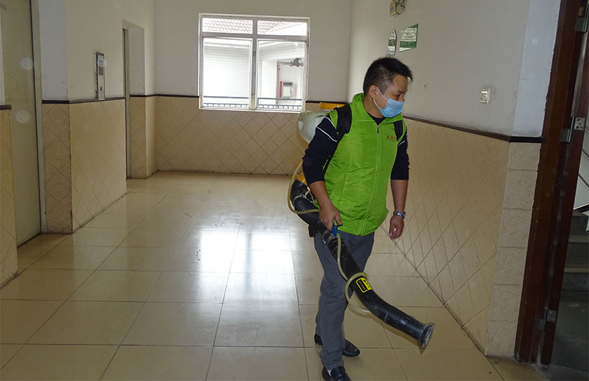 珠海物業(yè)殺蟲