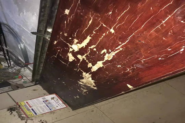 珠海中山別墅防治白蟻廠家-咨詢這家 珠海中山別墅防治白蟻廠家-咨詢這家