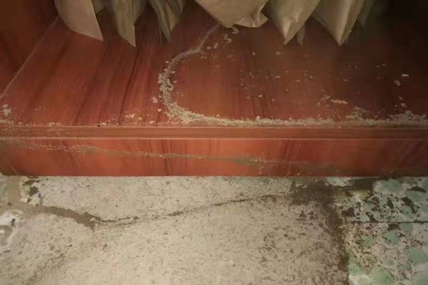 珠海中山別墅防治白蟻廠家-咨詢這家 珠海中山別墅防治白蟻廠家-咨詢這家