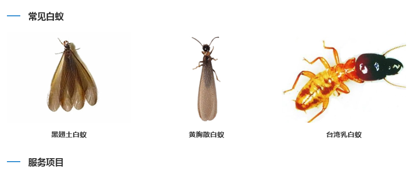 1570953614139121.png image.png