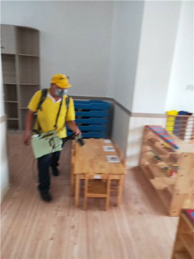 前山 金鼎 乾務(wù)白蟻消殺公司,白蟻防疫站 前山 金鼎 乾務(wù)白蟻消殺公司,白蟻防疫站