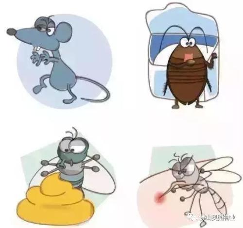 前山單位除四害 前山單位除四害