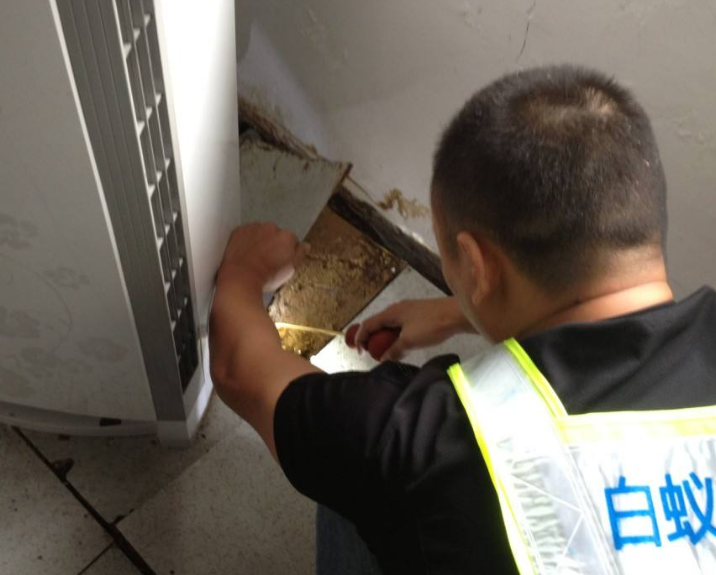 珠海白蟻防治 珠海白蟻防治