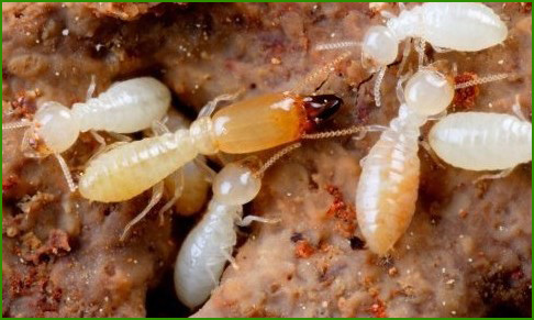 20160123095734821.jpg 20160123095734821.jpg